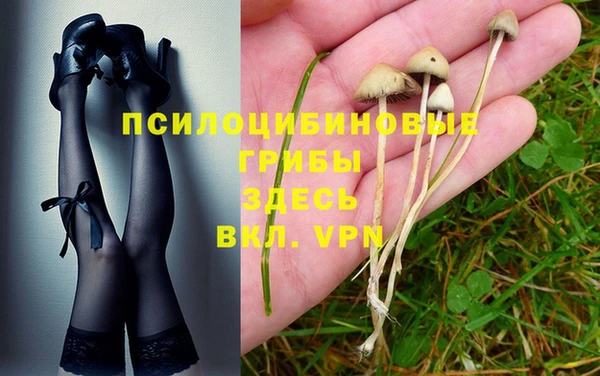 СК Баксан